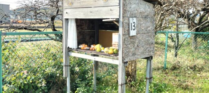 そこそこ田舎で便利な京田辺市